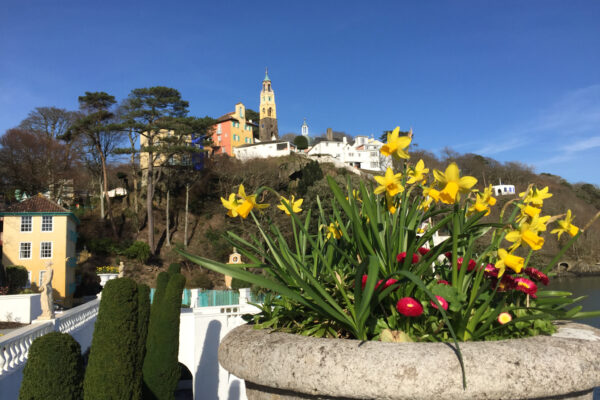 Portmeirion beach spring IMG 1157