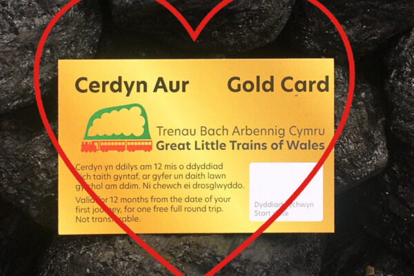Gold Card coal Dwynwen offer