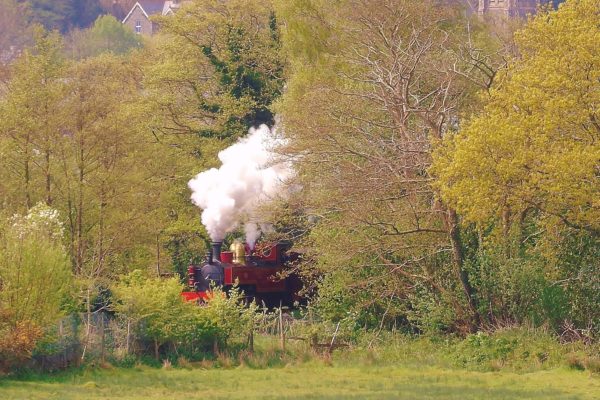 WHHR steam locomotive Russell in the landscape