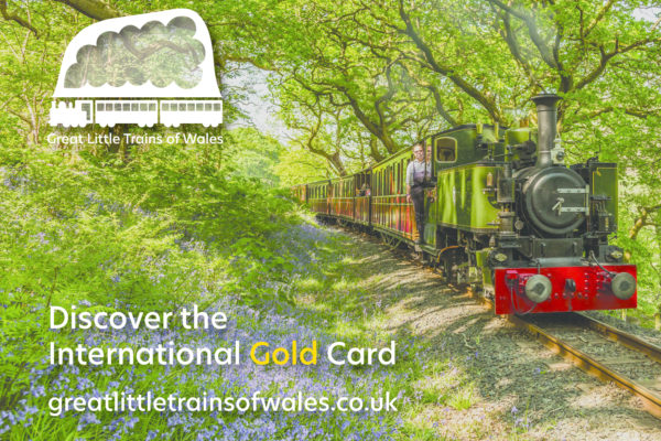 1-Gold-Card-1